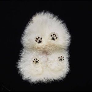 Meet your Posher, Emilie